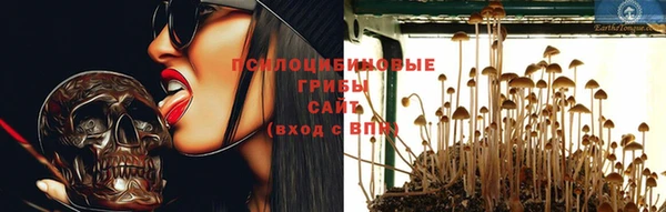 соль ск Медвежьегорск