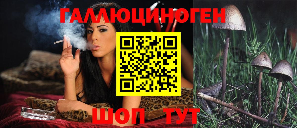 Псилоцибиновые грибы мицелий Зеленокумск