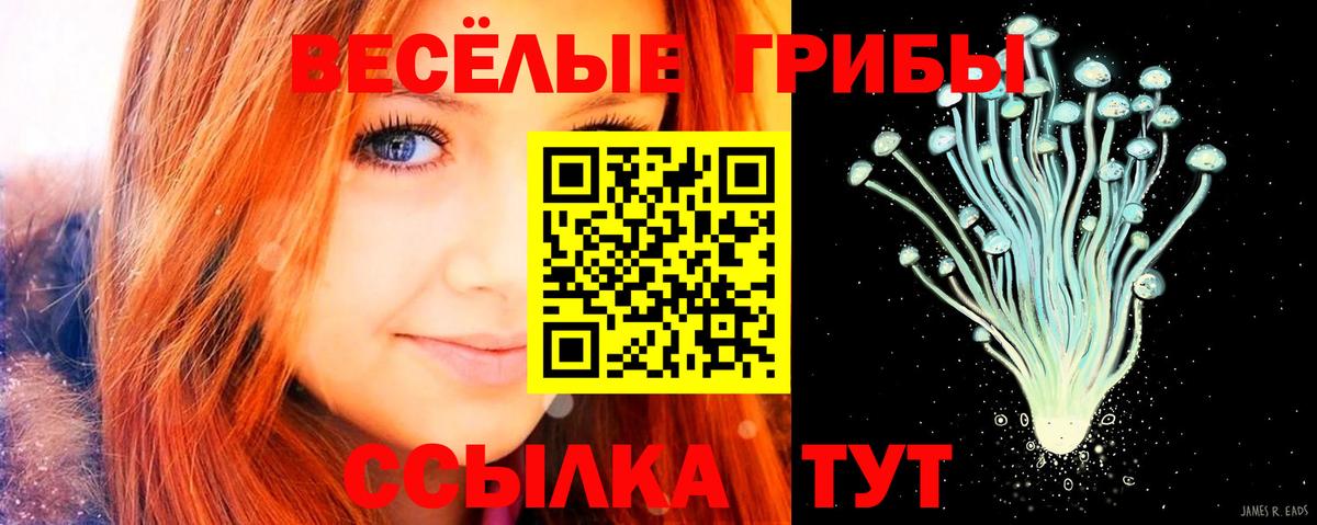 Псилоцибиновые грибы ЛСД  Галлюциногенные грибы GOLDEN TEACHER  Зеленокумск 