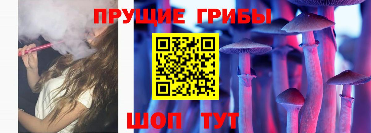 Зеленокумск  Галлюциногенные грибы GOLDEN TEACHER  Вход с VPN  Псилоцибиновые грибы Psilocybine cubensis 